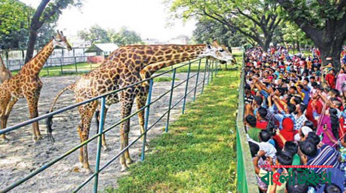 চিড়িয়াখানায় প্রাণী উত্ত্যক্ত করলে গুনতে হবে জরিমানা